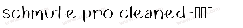 schmute pro cleaned字体转换